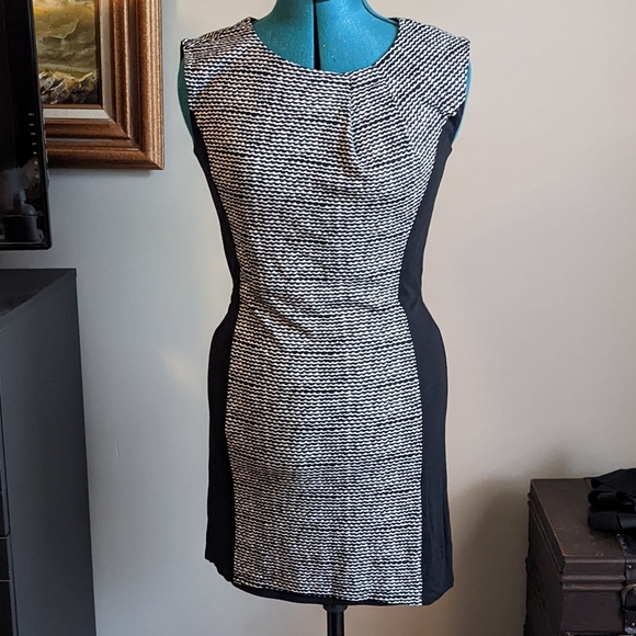 Loft Back and White Business Casual Dress - SP - Picture 6 of 10
